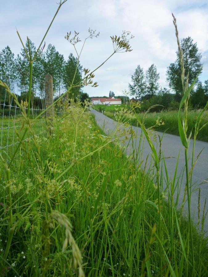 Het Verblijf Sint-Martens-Lennik Bagian luar foto