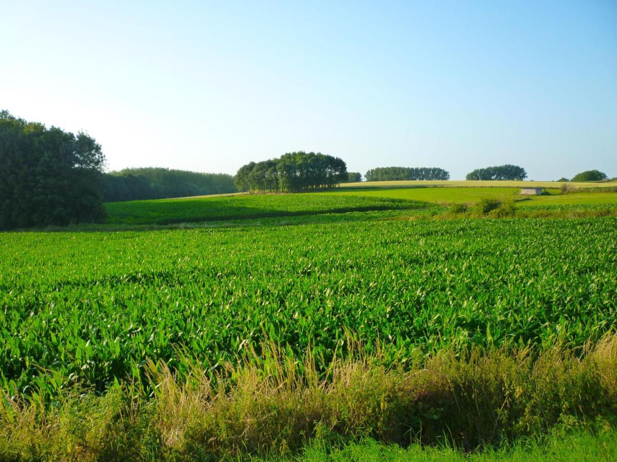 Het Verblijf Sint-Martens-Lennik Bagian luar foto
